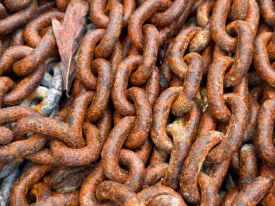 IMG_5194.jpeg IMG_5194.jpeg