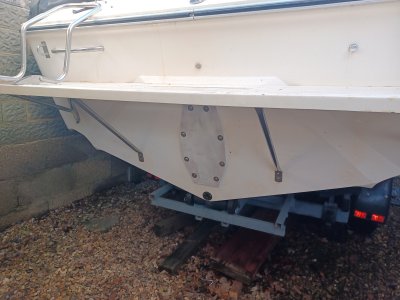 20250203_143650.resized.jpg 20250203_143650.resized.jpg