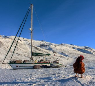 Monique - Pole to Pole Expedition. crop. Credit guirec-soudee-projet.jpg