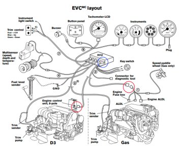 IMG_4986.jpeg IMG_4986.jpeg