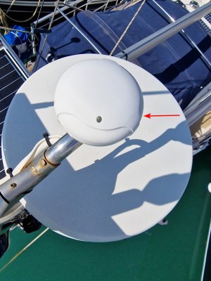 20250205_120601 — kopia.jpg