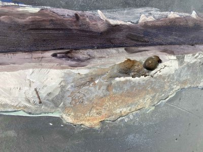 IMG_0075 2.jpg IMG_0075 2.jpg