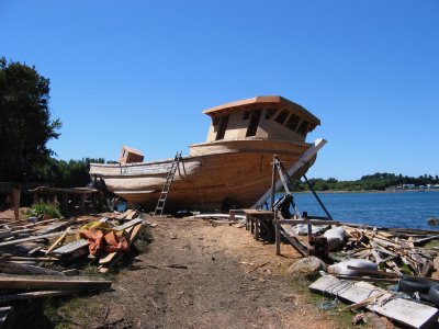 IMG_2654.jpeg IMG_2654.jpeg