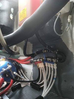 Ruby manifold small.jpg