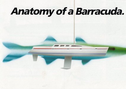 Barracuda P 1.jpg