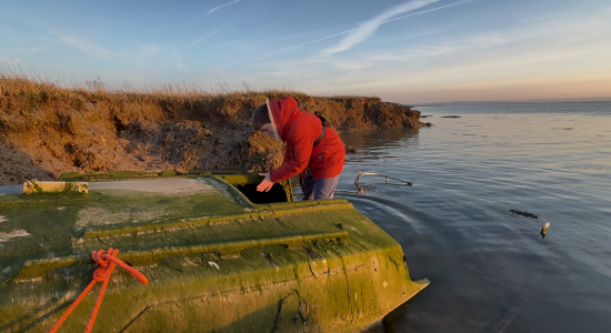 1741721307213.png 1741721307213.png