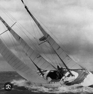 Screenshot_20250313_194528_Google.jpg Screenshot_20250313_194528_Google.jpg