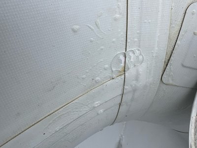 IMG_2025-03-17-172002.jpeg IMG_2025-03-17-172002.jpeg