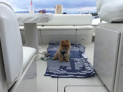 606EC860-6938-4F69-8C57-F3EBCC93F96A.jpeg 606EC860-6938-4F69-8C57-F3EBCC93F96A.jpeg