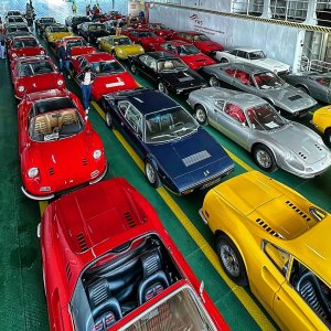 5115A256-EB2C-480C-A633-385478AAE957.jpeg 5115A256-EB2C-480C-A633-385478AAE957.jpeg