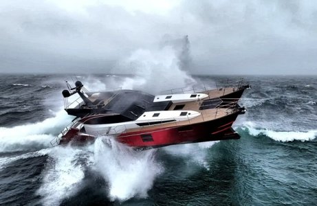 IMG_0441.jpeg IMG_0441.jpeg