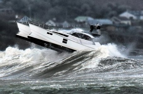 IMG_0440.jpeg IMG_0440.jpeg