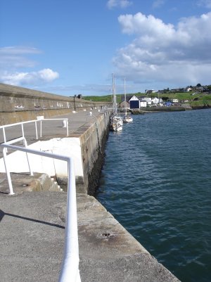 Wicklow hbr small .jpeg