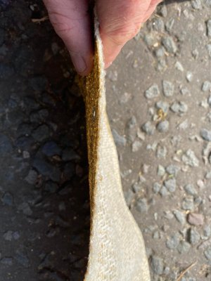 WhatsApp Image 2025-03-24 at 13.44.22 (2).jpeg