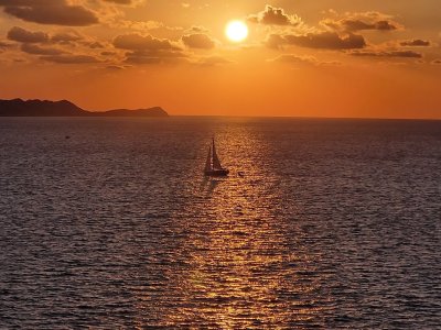 20241026_175529.jpg 20241026_175529.jpg