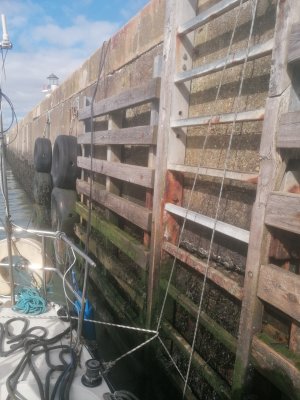 IMG_20250325_125838.jpg IMG_20250325_125838.jpg