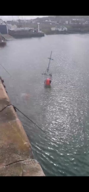 Screenshot_20250326_130154_com.whatsapp.jpg Screenshot_20250326_130154_com.whatsapp.jpg