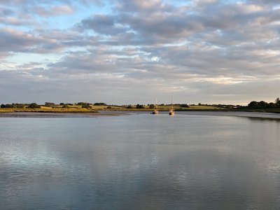 IMG_2025-03-26-200247.jpeg IMG_2025-03-26-200247.jpeg