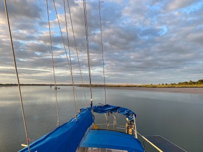 IMG_2025-03-26-200220.jpeg IMG_2025-03-26-200220.jpeg