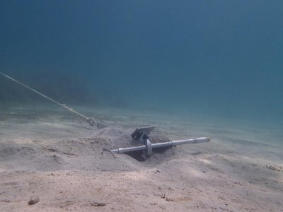 IMG_7894.jpeg IMG_7894.jpeg