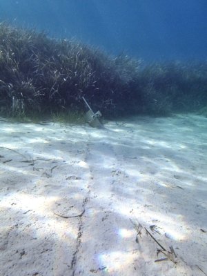 IMG_7892.jpeg IMG_7892.jpeg