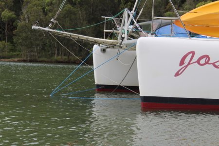 IMG_4793.jpeg IMG_4793.jpeg