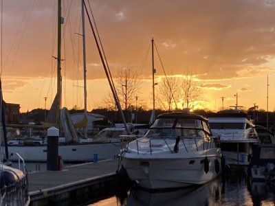 IMG_1416 1000pix.jpg