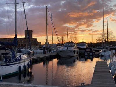 IMG_1417 1000pix.jpg