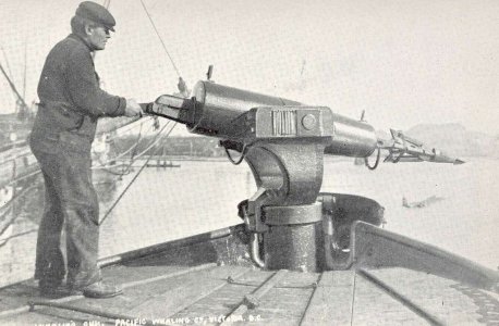 fmib-44620-whaling-gun-showing-harpoon-a78810-1024.jpeg