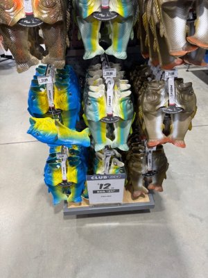 IMG_0794.jpeg