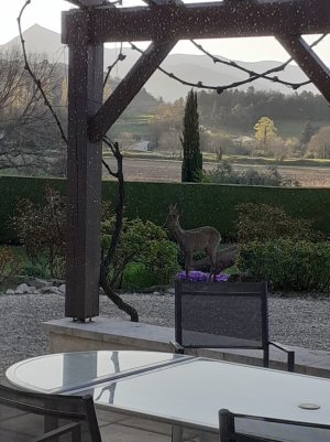 WhatsApp Image 2025-04-06 at 11.10.01 (1).jpeg