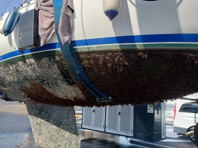 WhatsApp Image 2025-04-05 at 16.35.47_9cda645c.jpg