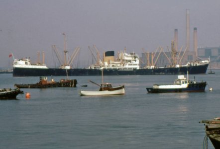 Olivebank-3.jpg