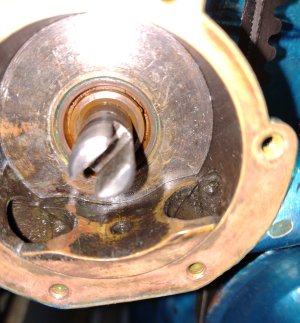 IMG_20250414_152435880 sm.jpg