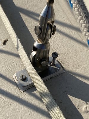 IMG_1526 1000pix.jpg IMG_1526 1000pix.jpg