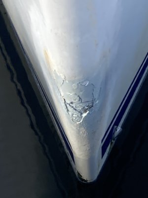 IMG_1301 1000pix.jpg IMG_1301 1000pix.jpg