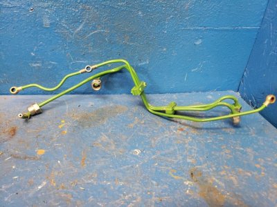 IMG_0992.jpeg IMG_0992.jpeg