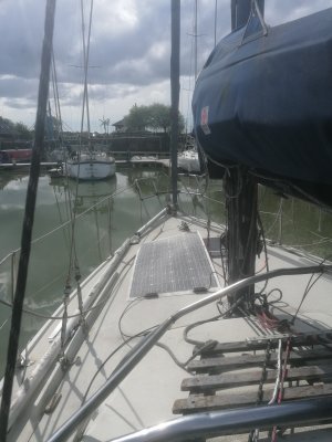 3aa2b66e-ac45-4a07-a63d-1c27d5040135.jpg 3aa2b66e-ac45-4a07-a63d-1c27d5040135.jpg