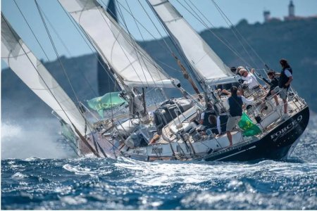 IMG_4226.jpeg IMG_4226.jpeg