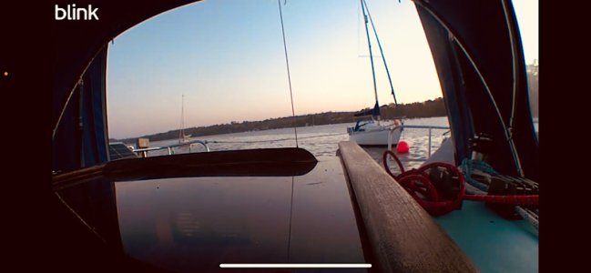 IMG_2025-04-30-205025.jpeg IMG_2025-04-30-205025.jpeg