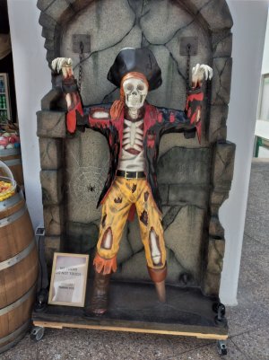 20250502_111159.jpg 20250502_111159.jpg