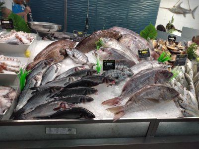 20250502_120533.jpg 20250502_120533.jpg