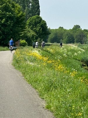 12fc55e9-b434-4a69-8db2-a819fe371d72.jpeg 12fc55e9-b434-4a69-8db2-a819fe371d72.jpeg