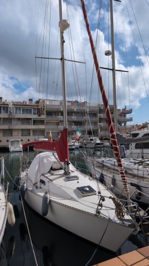 WhatsApp Image 2025-03-05 at 10.20.18_53761a63.jpg