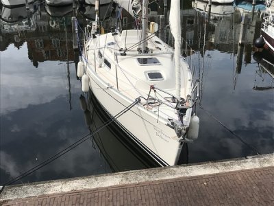 IMG_0545 (600 x 450).jpg