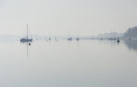 misty morning on mooring 1.jpg
