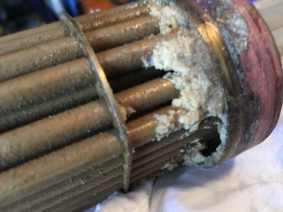 IMG_4501 Medium.jpeg