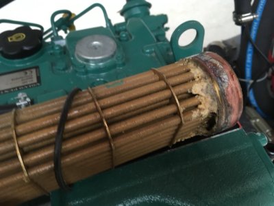 IMG_4499 Medium.jpeg