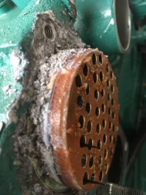 IMG_4450 Medium.jpeg