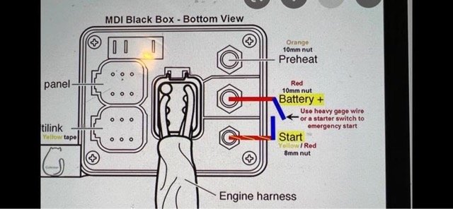 IMG_0424 Medium.jpeg